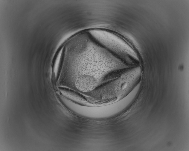 X0000094351324200711241906