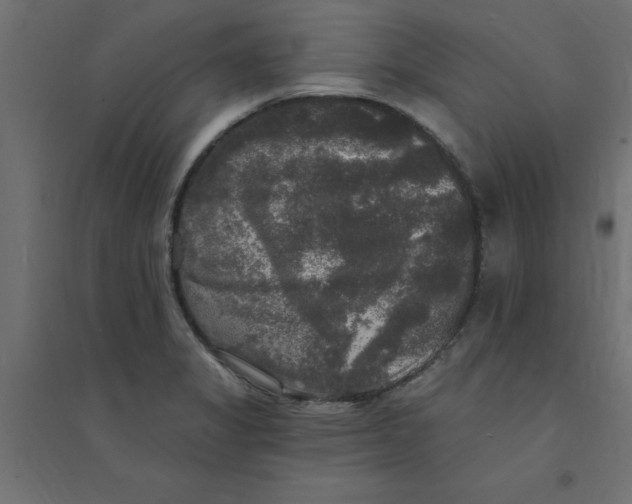 X0000094351325200711241906