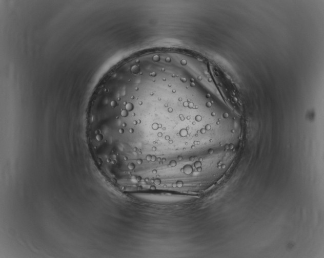 X0000094351326200711241906