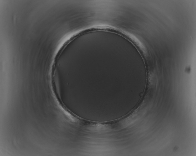 X0000094351327200711241906