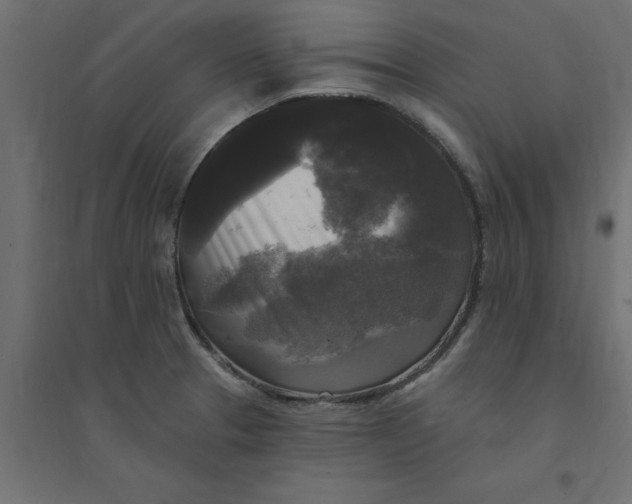 X0000094351329200711241906