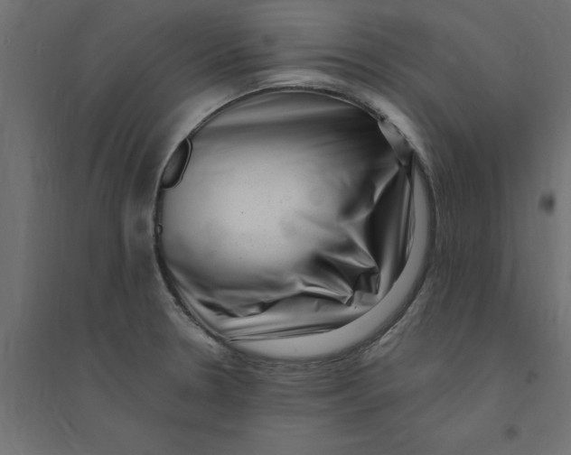 X0000094351330200711241906