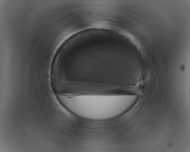 X0000094351331200711241906