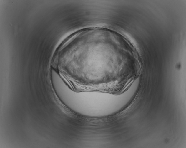 X0000094351332200711241906