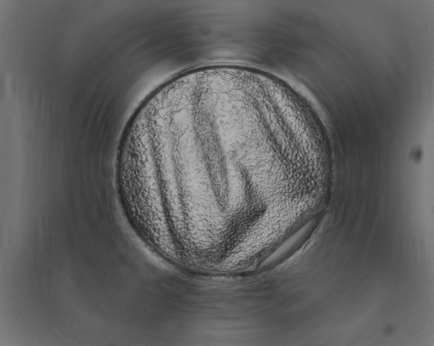 X0000094351333200711241906