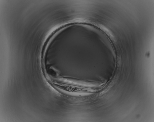 X0000094351334200711241906