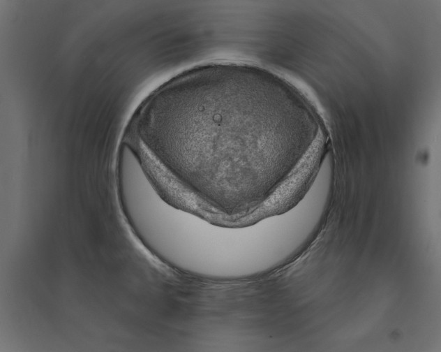 X0000094351335200711241906