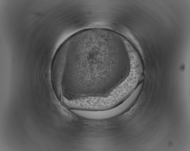 X0000094351336200711241906