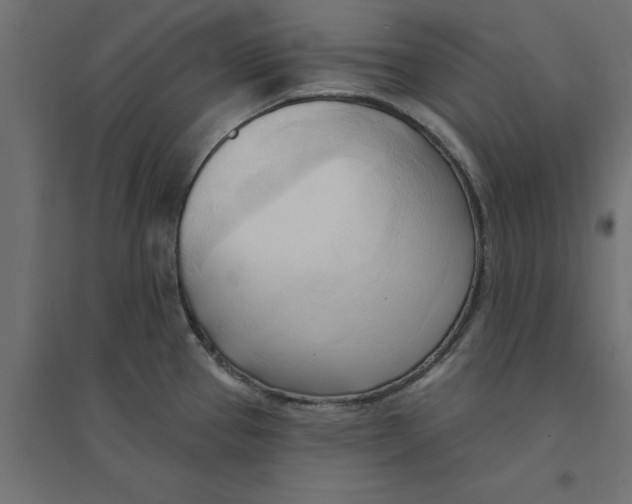 X0000094351337200711241906