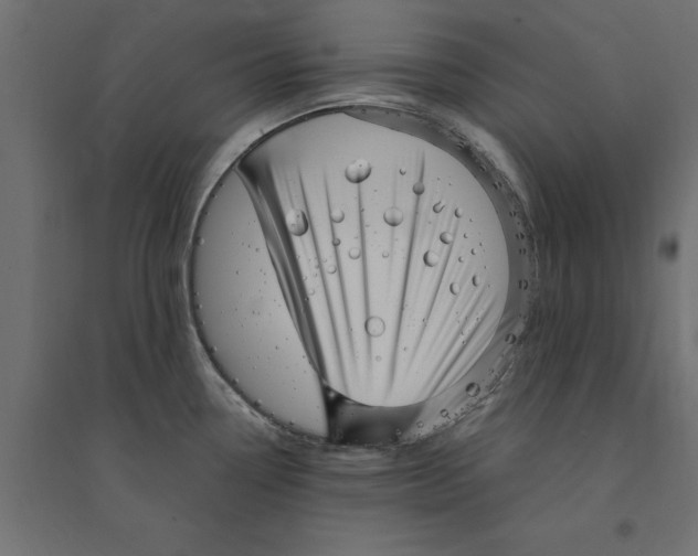 X0000094351338200711241906