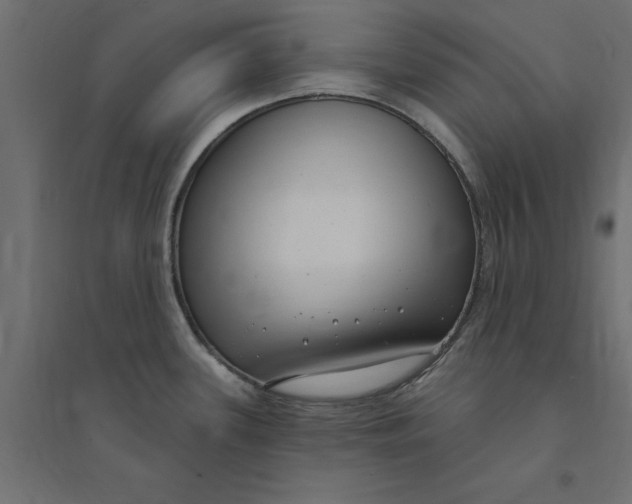 X0000094351339200711241906