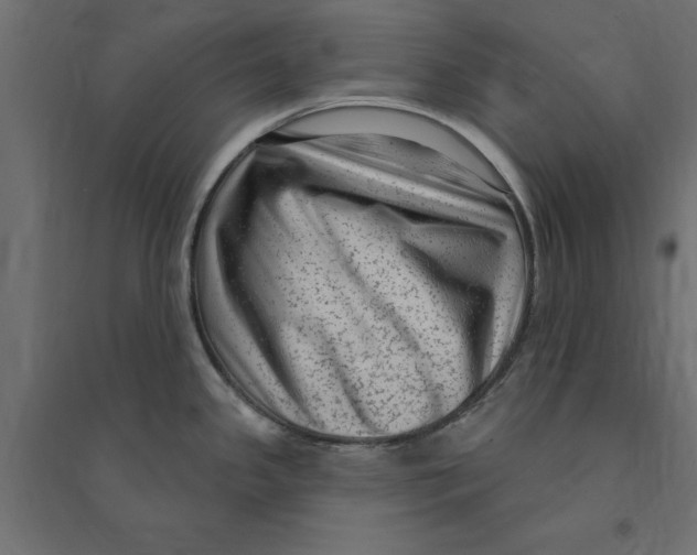 X0000094351341200711241906