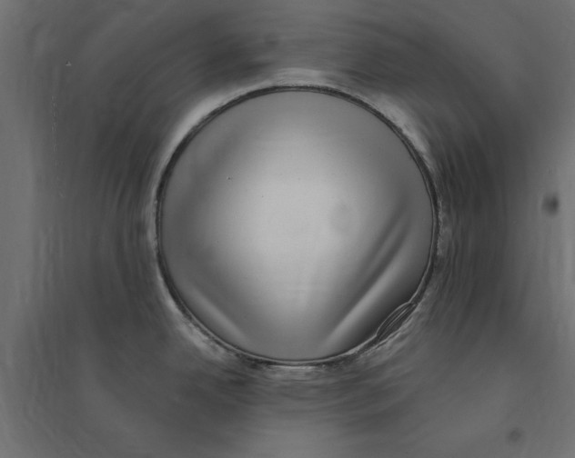 X0000094351342200711241906