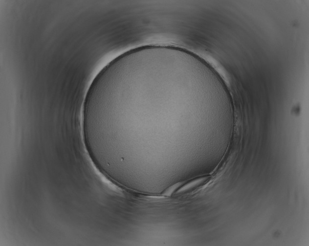 X0000094351343200711241906