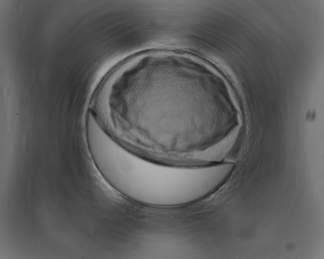 X0000094351344200711241906