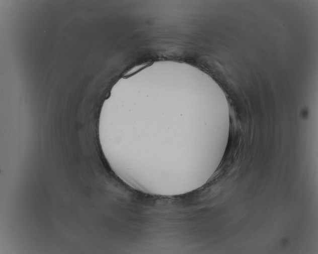 X0000094351345200711241906