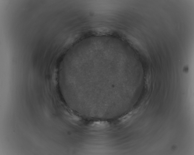 X0000094351346200711241906