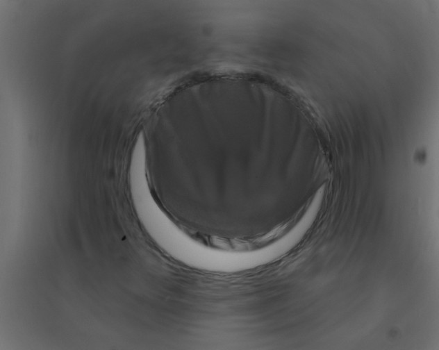 X0000094351348200711241906