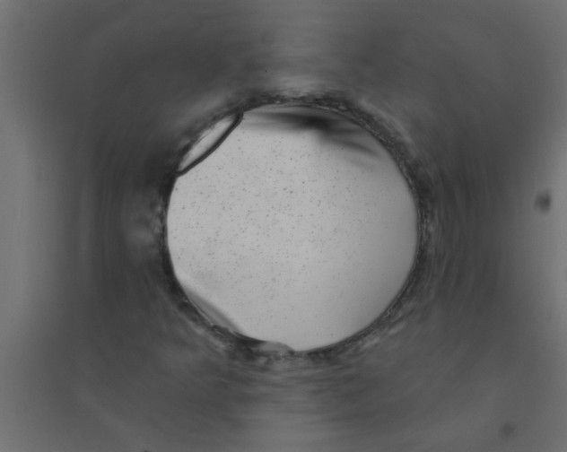 X0000094351349200711241905