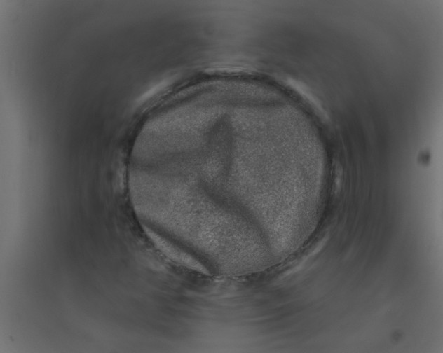 X0000094351350200711241905