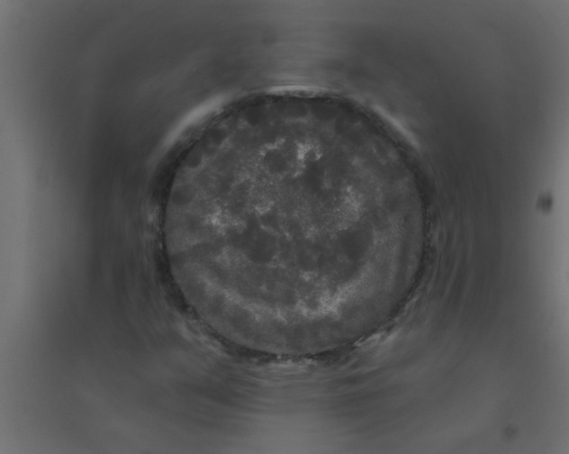 X0000094351351200711241905