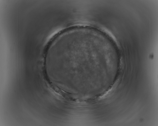 X0000094351352200711241905