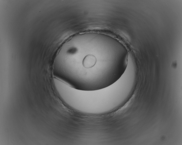 X0000094351353200711241905