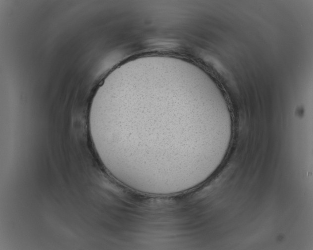 X0000094351354200711241905