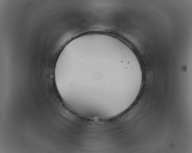 X0000094351355200711241905