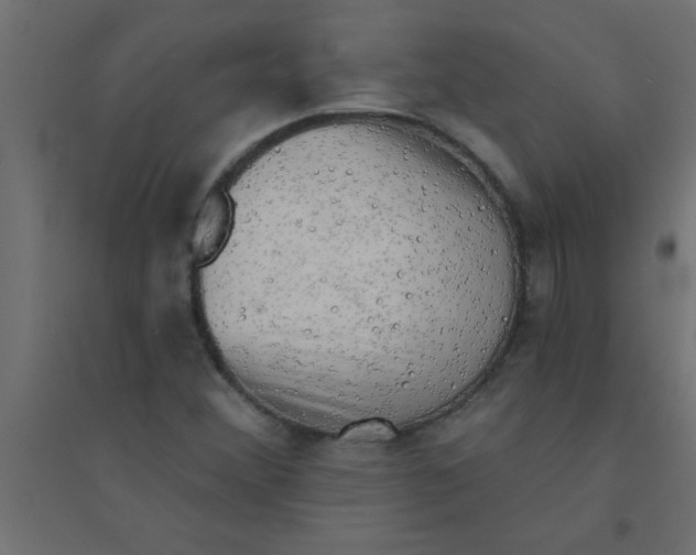 X0000094351356200711241905