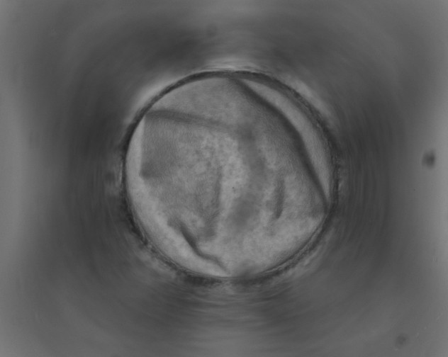 X0000094351358200711241905