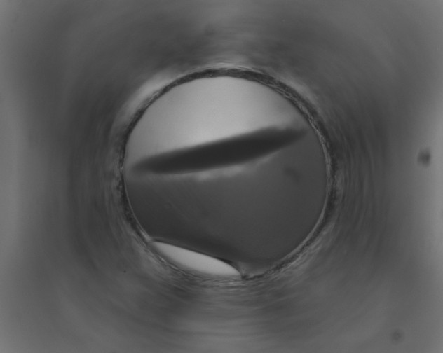 X0000094351359200711241905