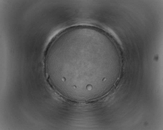 X0000094351360200711241905