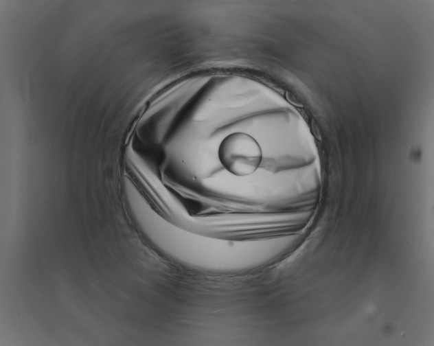 X0000094351361200711241905