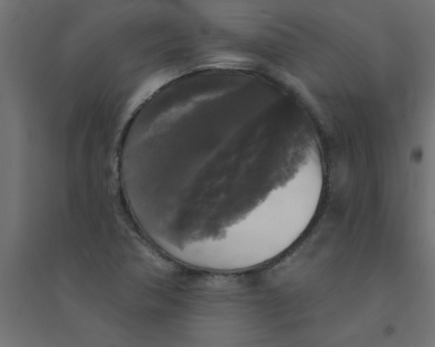 X0000094351362200711241905