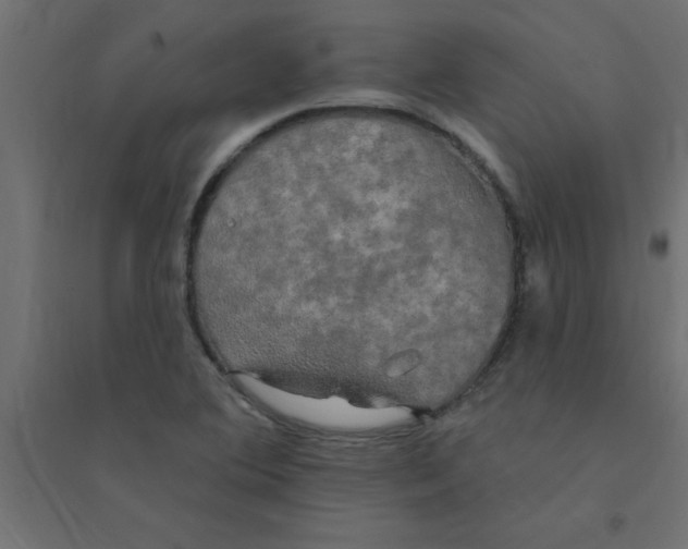 X0000094351364200711241905