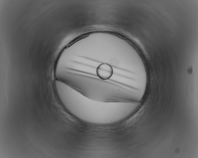 X0000094351365200711241905