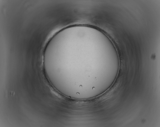 X0000094351366200711241905