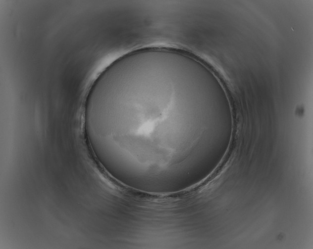 X0000094351367200711241905