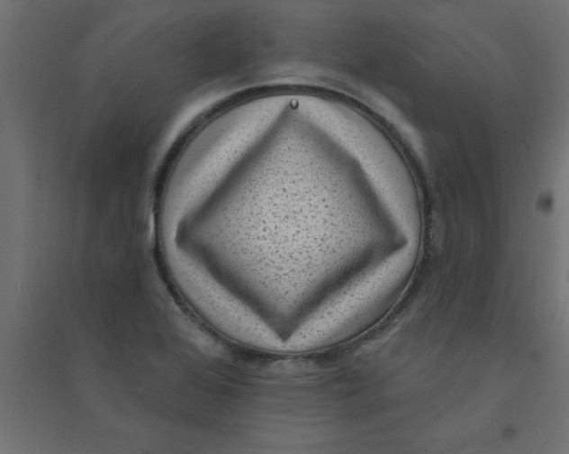 X0000094351368200711241905