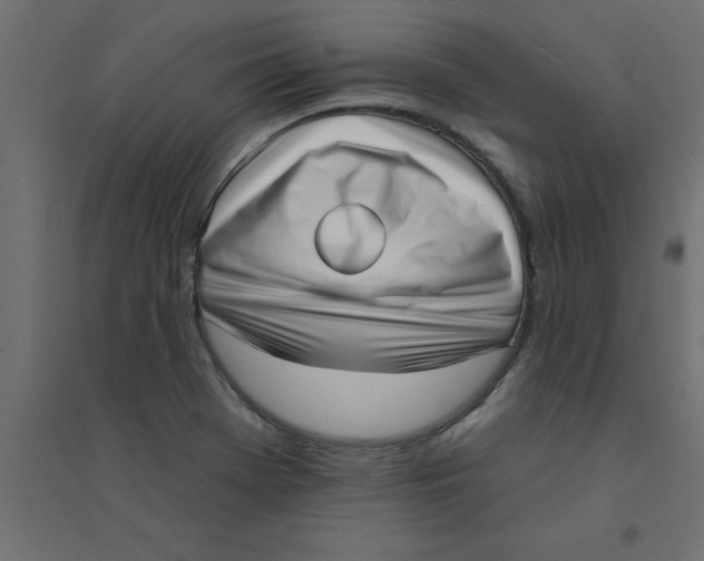 X0000094351369200711241905