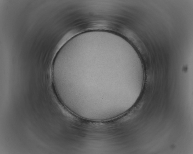 X0000094351370200711241905