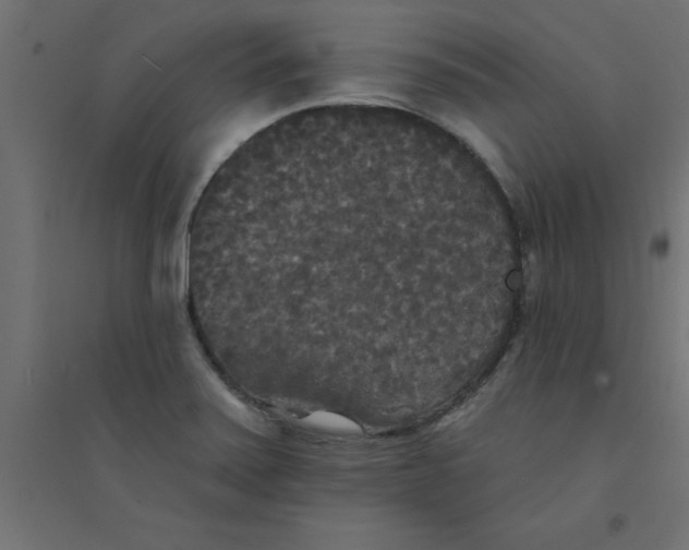 X0000094351371200711241905