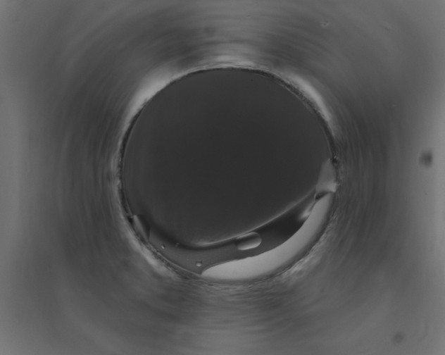 X0000094351373200711241905