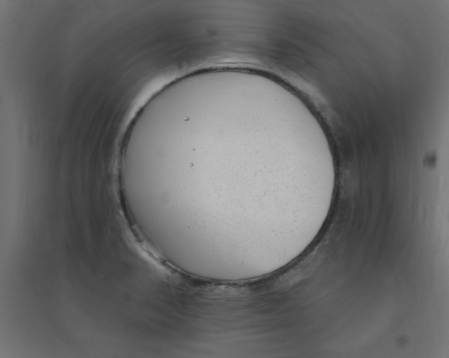 X0000094351374200711241905