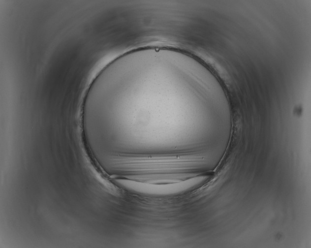 X0000094351375200711241905