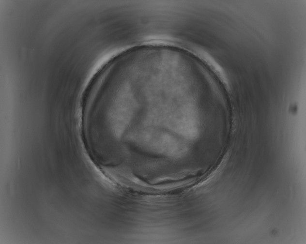 X0000094351376200711241905