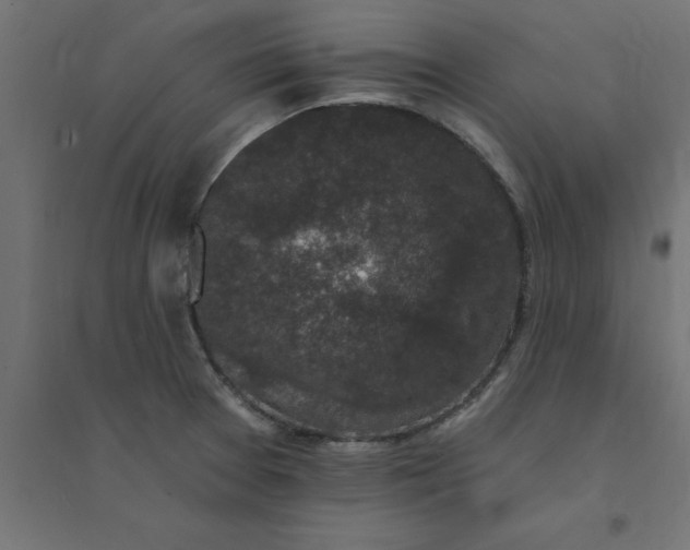 X0000094351377200711241905