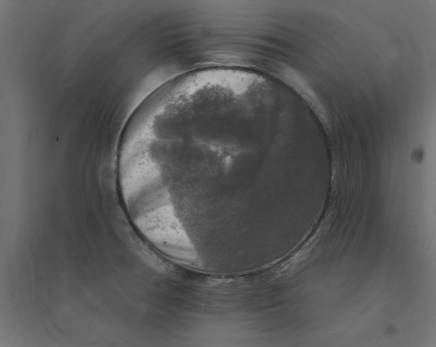 X0000094351378200711241905