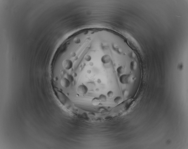 X0000094351380200711241905